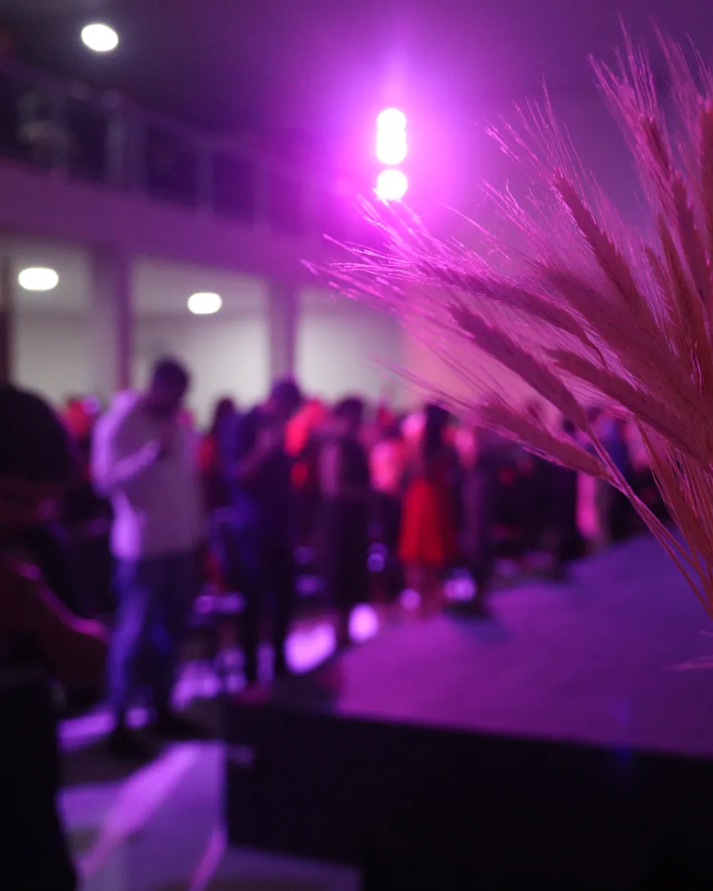 Igreja Nova Terra em Belém — foto 4